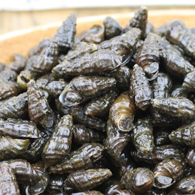 다솔이 국내산 생다슬기1kg, 1개