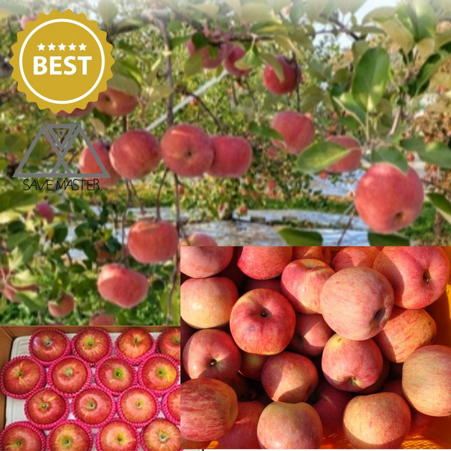 세이브마스터 추풍령 영동 가정용 부사사과 중과 5kg 5키로 가정용부사 부사사과 흠집 쥬스용 주스용 사과 못난이 알뜰형, 1개