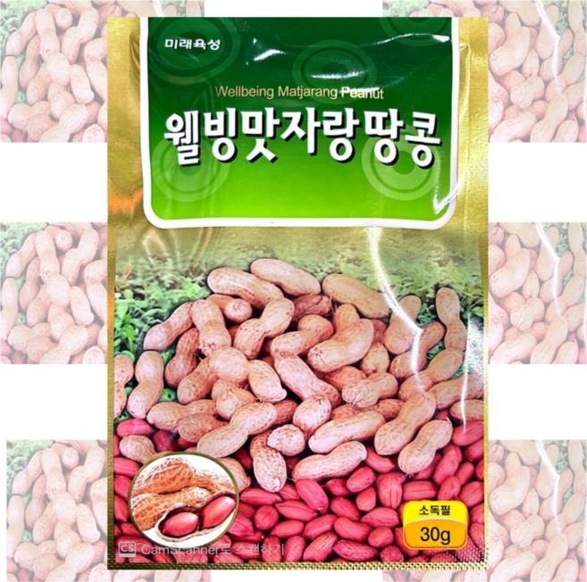 땅콩씨앗 채소종자 잡곡 구황작물 텃밭농사 [26년포장] 텃밭농사, 15.경신서리태콩50g