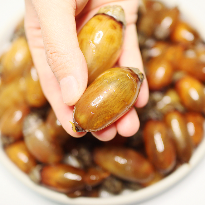 장보고닷컴 당일생산 손질 세척 싱싱 미더덕, 제철 미더덕 1kg, 1개