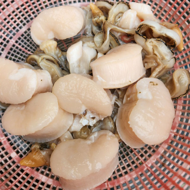 국내산 완전손질 키조개 관자 1kg(20-25미), 1개, 1kg