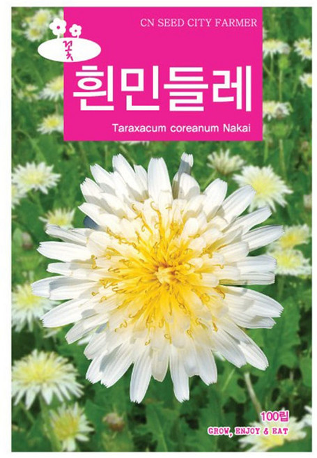 흰민들레 꽃씨앗 꽃씨 100립, 2개