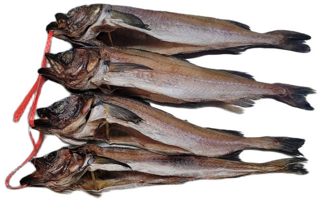 깔끔이 손질 반건조 코다리 4미 속초 조림찜 명태, 1개, 반건조 코다리 소 (37~40cm)