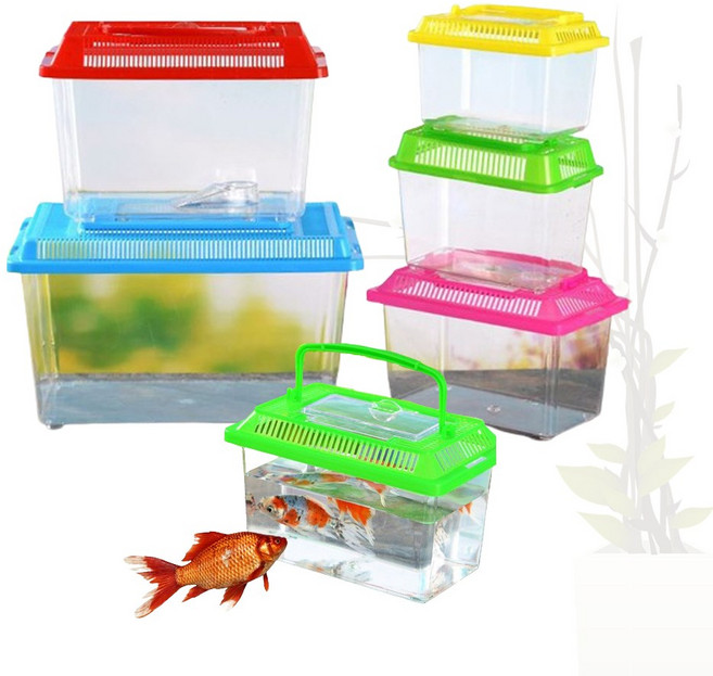 왕대박창고 곤충 집통 관찰 야외 학습 체험 일기 방학 사슴벌레 관찰통 플라스틱 다슬기 어항, 곤충채집통-1호(색상랜덤)