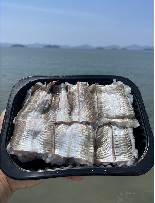 여수갯장어 하모샤브샤브1kg 손질 후 500g 육수팩 포함, 1개, 500
