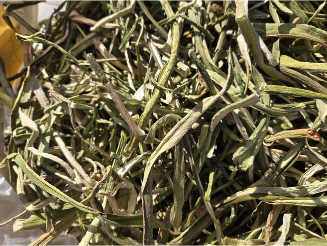 전남 곡성 태양 건조 건토란대 300g 500g 1kg, 1개