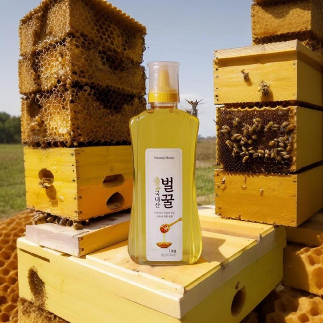 [26년 햇꿀]100% 지리산 생산 청정골 산청 명품 벌꿀 튜브 1kg