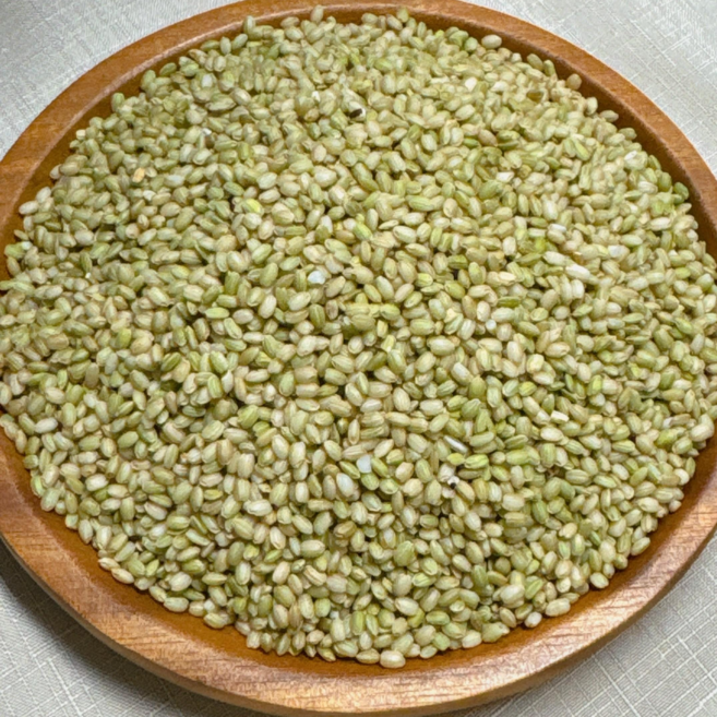 영원농산 25년산 국산 진도 녹미 찰녹미 녹색쌀, 1개, 5kg