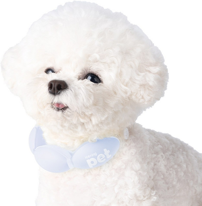 엠팩플러스 아이스링펫 넥쿨러, 블루, 1개