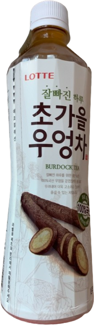 롯데칠성음료 잘빠진 하루 초가을 우엉차, 500ml, 10개