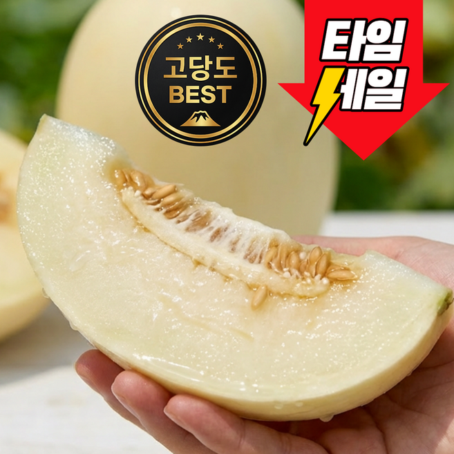 [한정특가] 고당도 국내산 제철 과일 설향 멜론 백자 메론, 1박스, 1.5kg 설향