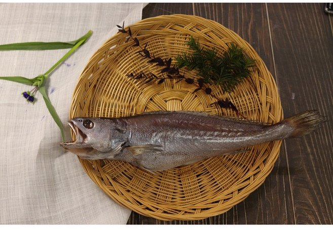 부산 반건조 생선 자연산 참민어 제수용 참민어탕 참민어구이, 중, 1개, 38cm내외
