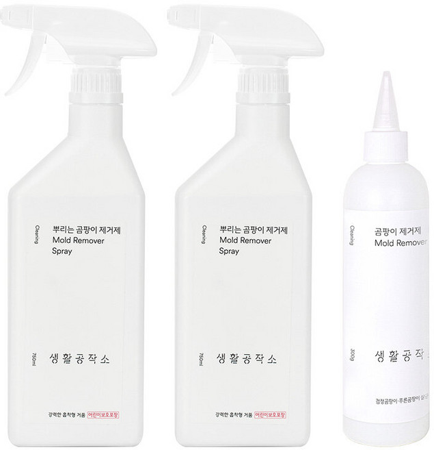 [생활공작소] 뿌리는 곰팡이제거제(750ml) 2개 + 바르는 곰팡이제거제(300ml) 1개, 1세트, 1500ml