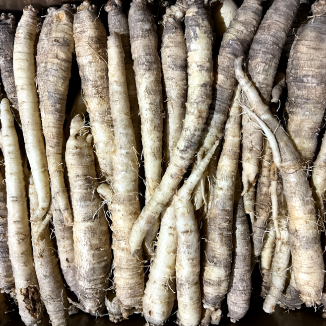 햇 더덕 깐더덕 피더덕 생더덕 수입 중국산, 1개, 피더덕(소) 1kg