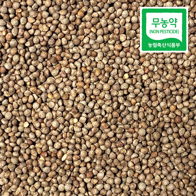 25년 국산 무농약 햇 볶음 깨 볶은 깨, 1kg, 1박스, 무농약 볶음들깨