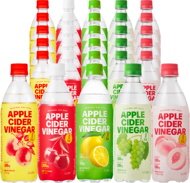 클룹 애사비소다 BEST 5종 30개입 세트, 30개, 500ml