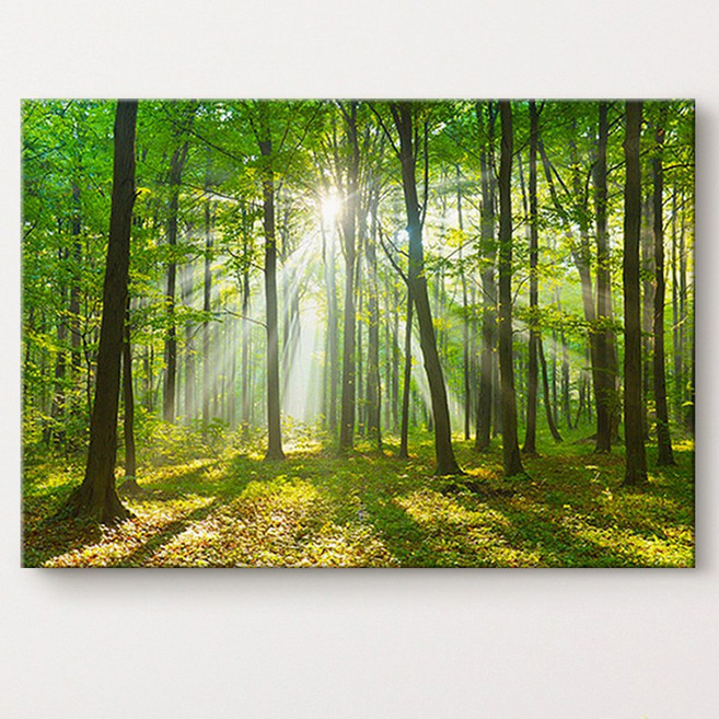 [인메이블] 재물과 장수의 소나무 숲 그림 사군자 대나무 자연 풍경 포스터 왕죽도 사업운 풍수 인테리어 캔버스 나무 액자, 30.[I]TR-맑은 햇살 숲