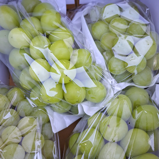 [초특가할인] 샤인머스캣 샤인머스캣 샤인머스킷 국내산, 1개, 샤인머스캣 가정용 4kg