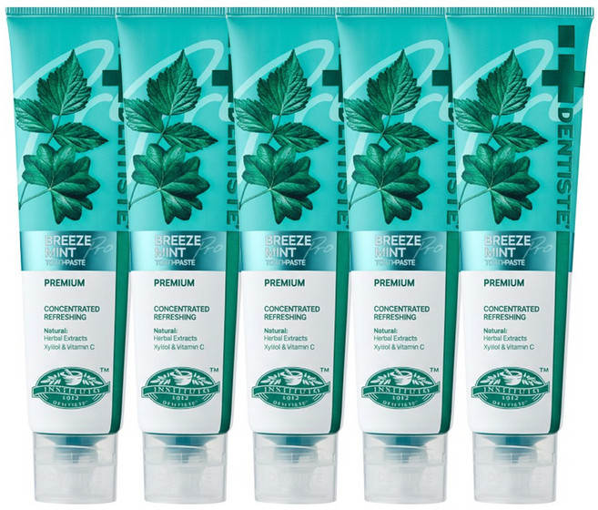 [공식몰] 덴티스테 브리즈민트 프로 치약, 180g, 5개