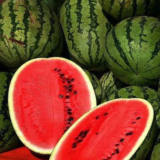 정이가 고당도 맛있는 겨울 하우스 꿀수박 당도선별 선물용, 3kg(하우스수박), 1개