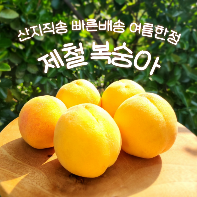 복숭아 제철 털복숭아 설아 백도 황도 고당도 경북 산지직송, 1개, 고당도 털복숭아(황도) 2kg(11-12수)