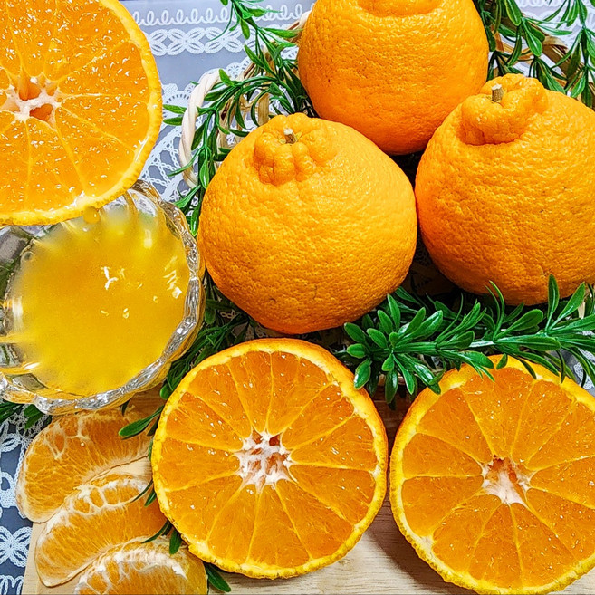 [맛없음반품] 새콤달콤한 한라봉 산지직송 선물용 가정용, 가정용포장, 한라봉 특대과 5kg(9~15과), 1박스