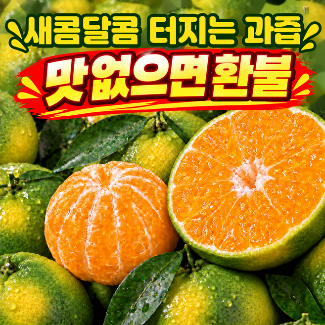 [제철 감귤] 제주 고당도 감귤 농가직송, 1박스, 중대과 10kg, 1박스