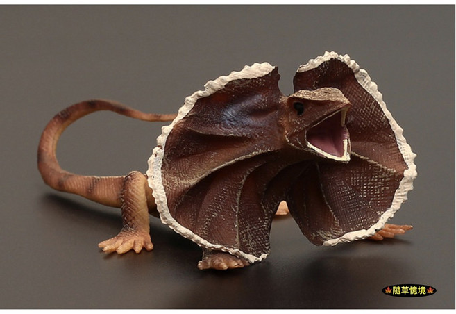 SPG 正版 傘蜥蜴 仿真動物模型 兒童玩具 益智公仔 爬蟲類, 1個