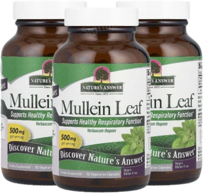 NaturesAnswer Mullein 뮬레인잎 500mg 90캡슐 3개, 90정 - 쿠팡
