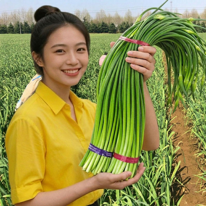 부드럽고 아삭한 남해 해풍 마늘쫑 특품 햇마늘쫑 신선 마늘종, 1개, 남해 마늘쫑 특품 1kg