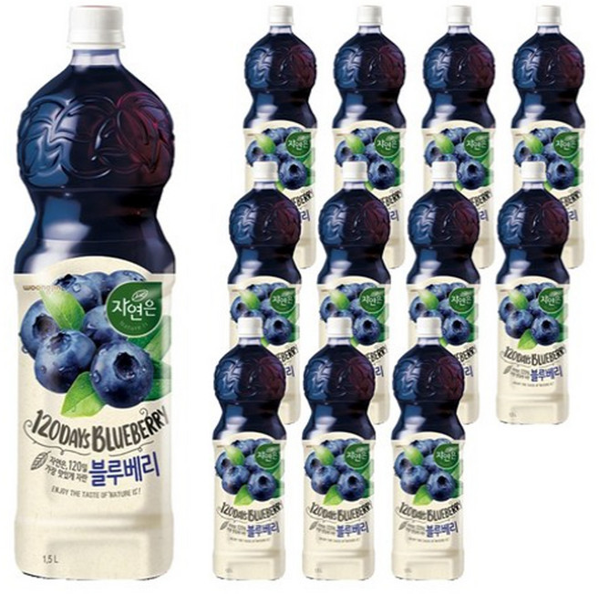 자연은 블루베리 주스, 1.5L, 12개