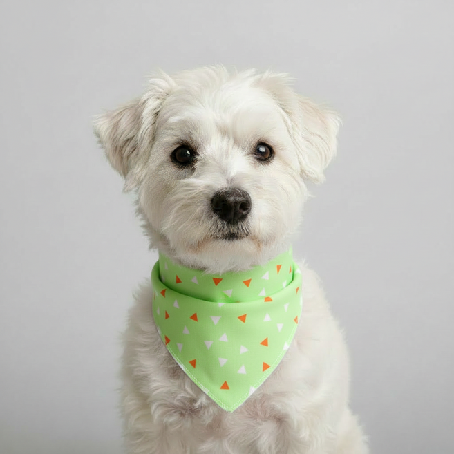 아이펫스맘 면 100% 스냅단추 강아지 고양이 반다나 스카프빕 턱받이 케이프, 1개, 2