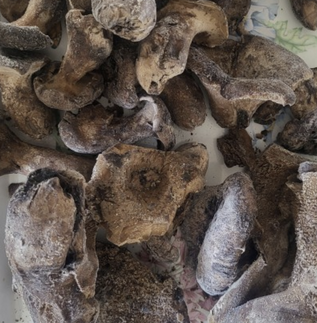 향이 으뜸 식감 좋은 자연산 (특A급) 능이버섯 냉동 / 건조 [히말라야 청정지역 티벳 재배], 1개, 냉동능이 A급 1kg