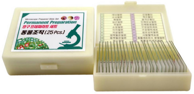 동물조직 슬라이드표본 세포관찰 학습용세트 실험용품, 1개