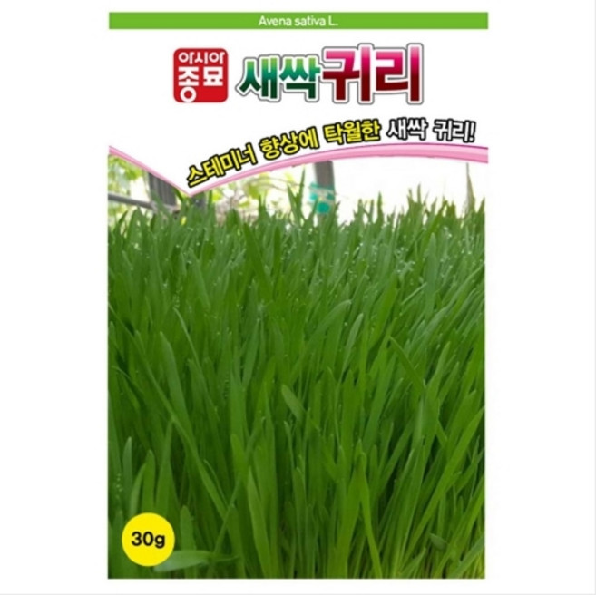 슬로시 새싹 씨앗 재배 새싹씨 키우기 무순 보리, 1개