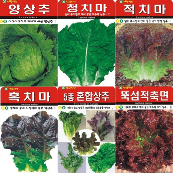 그린가든 AR5 상추류 씨앗 모음 (상추 로메인 치커리), 적오크린 상추 1000립