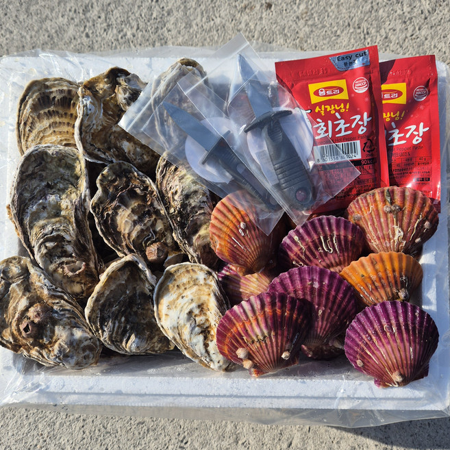 하고잽이수산 브러시세척 깔끔한 통영 석화 가리비세트 (조개칼+회초장), 1세트, 석화3kg/가리비2kg