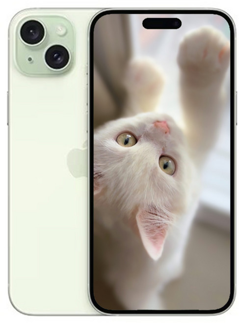 iP15 플러스 새상품 미개봉, 256GB, 애플 아이폰 15 플러스 그린