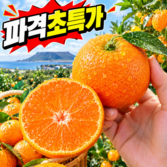 [기본11brix]고당도 귤 노지 제주 감귤, 1박스, 3kg