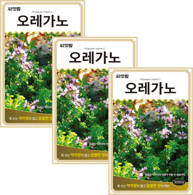 허브씨앗 오레가노 (3000립x3) Oregano 향신료 허브 키우기 종자, 3개
