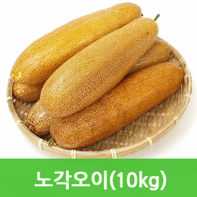 싱싱한 노각오이10kg 늙은오이 싱싱지오, 10kg, 1개