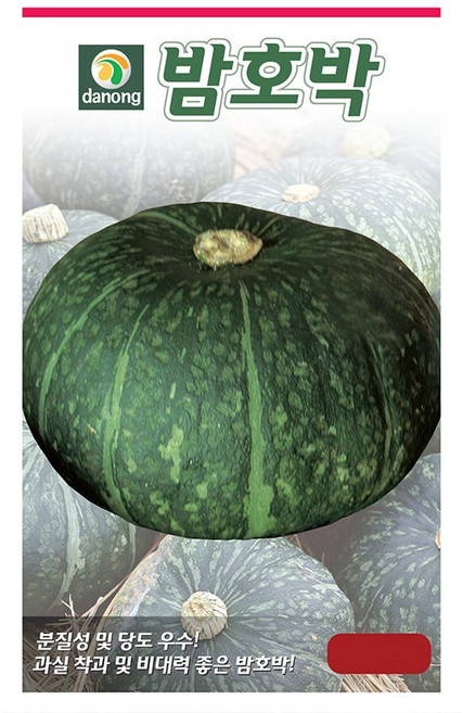 (DN) 밤(단)호박 씨앗(60립), 1개