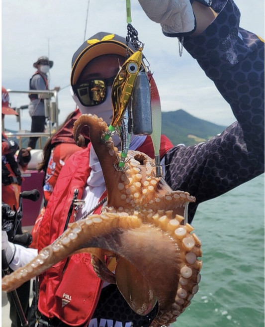 문어채비 10개묶음 1세트, 1개