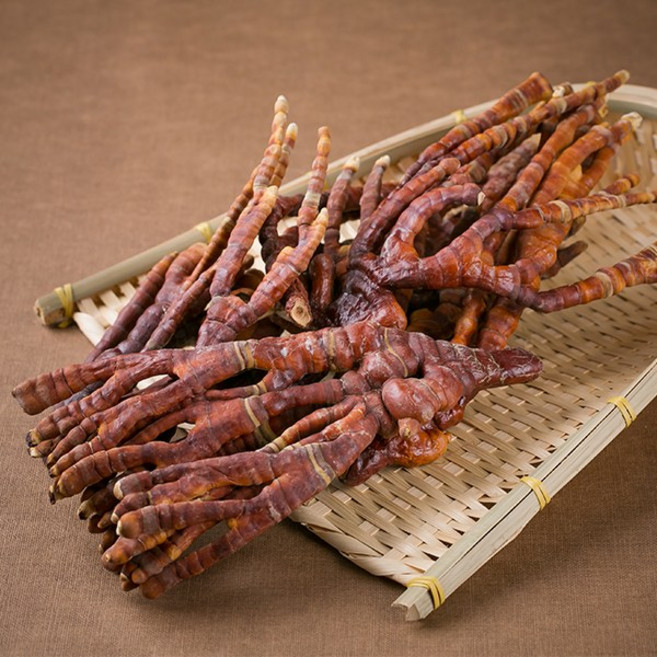 국산 녹각영지버섯 300g 사슴뿔영지 녹각뿔 건조 말린 약초 약재 국내산 차 한방, 140B_국산녹각영지버섯300g, 1개