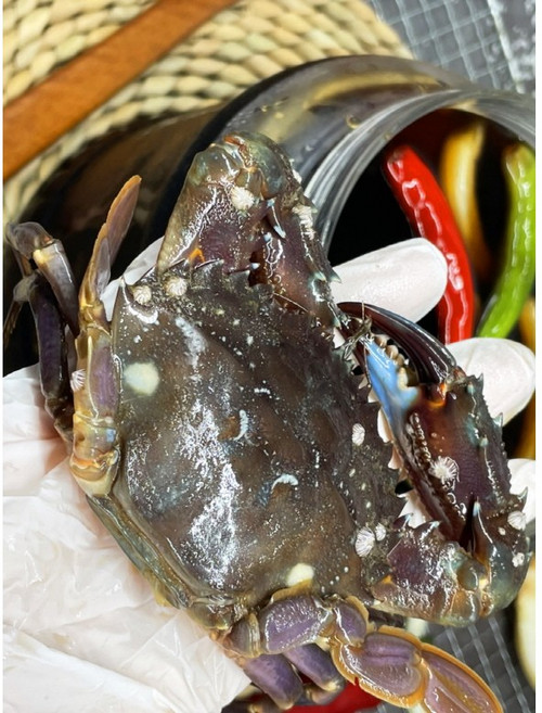 군산 돌게장 2.5kg 국내산 돌게 간장게장, 1개