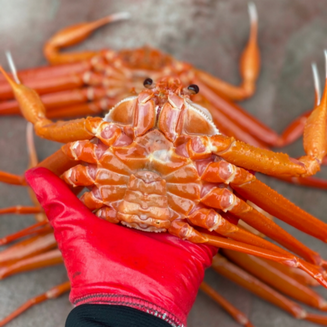 국내산 박달홍게 4kg (8-10미내외) 자숙/찜 발송 수율 8-90%, 1개, 자숙 박달홍게 (원물4kg 8-10미내외)