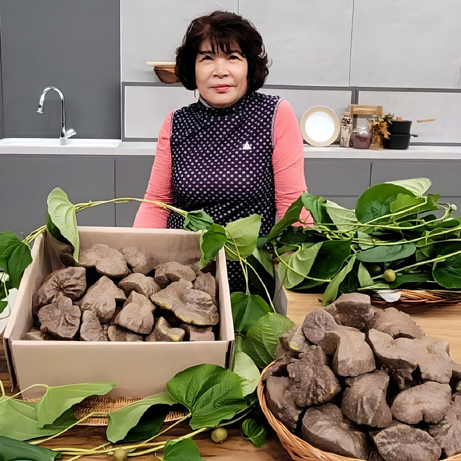 국내산 진안 산지직송 햇 열매마 하늘마 우주마 넝쿨마 5kg, 1개