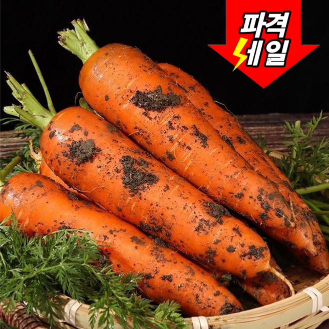 [딱하루초특가] 100박스한정수량 산지직송 아삭달콤 제주당근, 1박스, 5kg