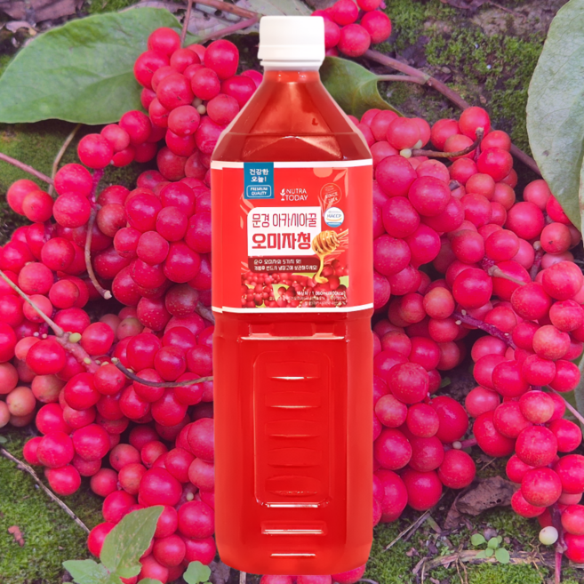 무설탕 문경 오미자청 아카시아꿀 담은 오미자차 원액, 1개, 1개입, 1L