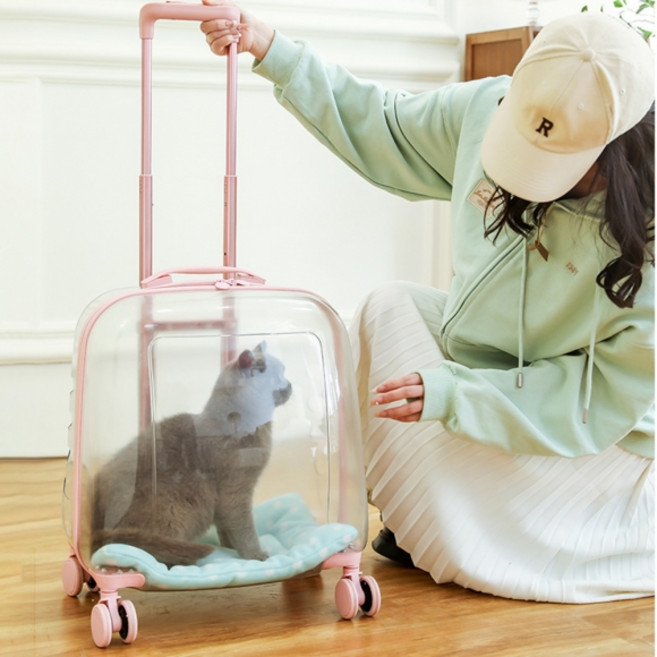 반려동물 이동가방 애견 강아지선풍기 애견이동장 강아지자동차시트 강아지기내가방 대형견케이지 애견카시트 대형새장 강아지크로스백 백팩 73073EA, 단일제품